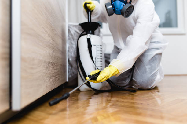 Best Ant Control Services  in Washington Heights, NY