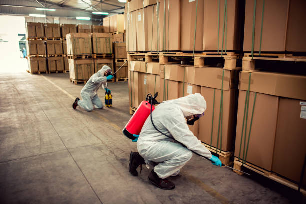 Best Wildlife Control Services  in Washington Heights, NY