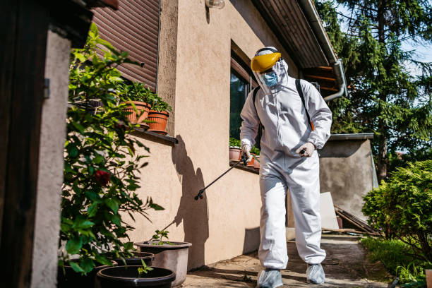Best Rat Extermination Near Me  in Washington Heights, NY