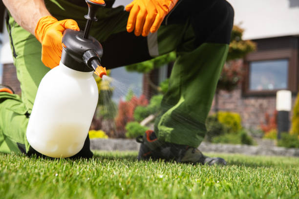 Best Affordable Pest Control Services  in Washington Heights, NY