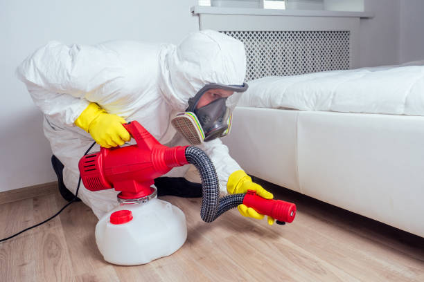 Best Pest Control Near Me  in Washington Heights, NY