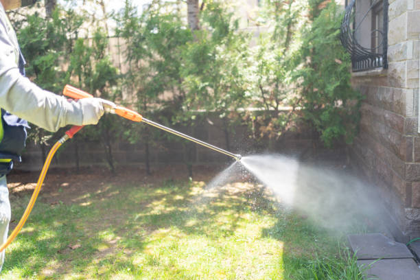 Flea Control Services in Washington Heights, NY