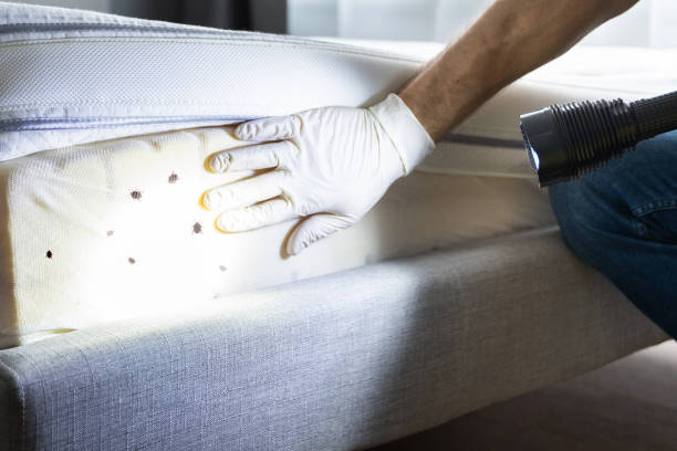 Best Pest Prevention Services  in Washington Heights, NY