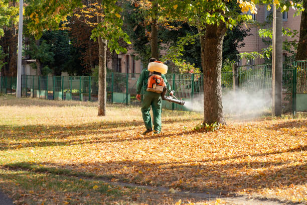 Best Pest Control Near Me  in Washington Heights, NY