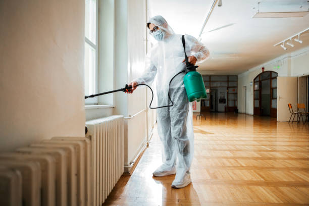 Best Mosquito Control Services  in Washington Heights, NY
