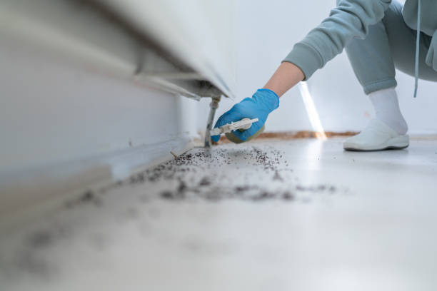 Best Residential Pest Control  in Washington Heights, NY