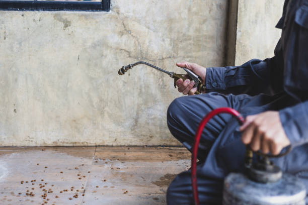 Best Rat Extermination Near Me  in Washington Heights, NY