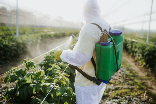 Best Pest Inspection Near Me  in Washington Heights, NY